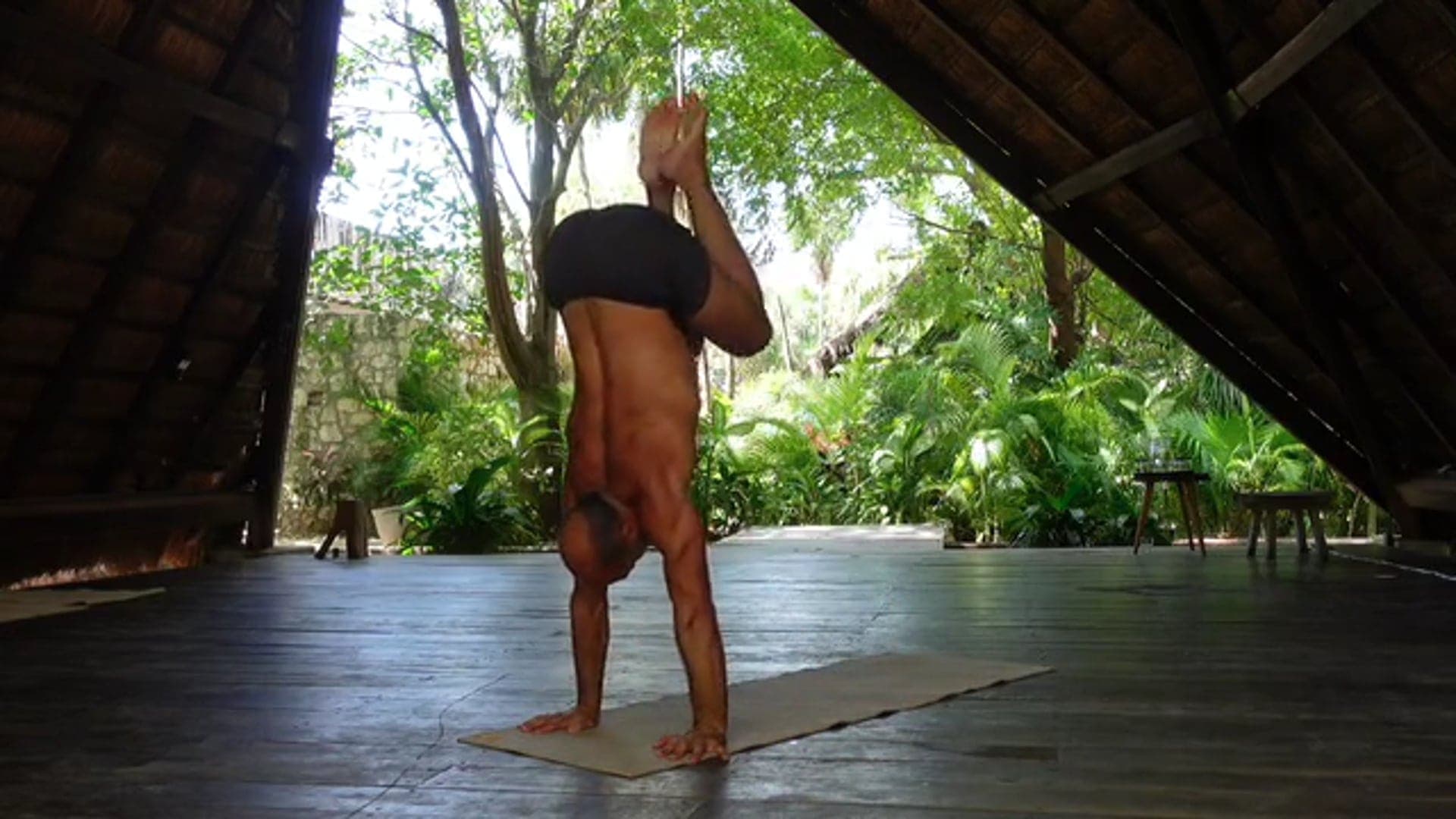 Primal Live mash up Tulum