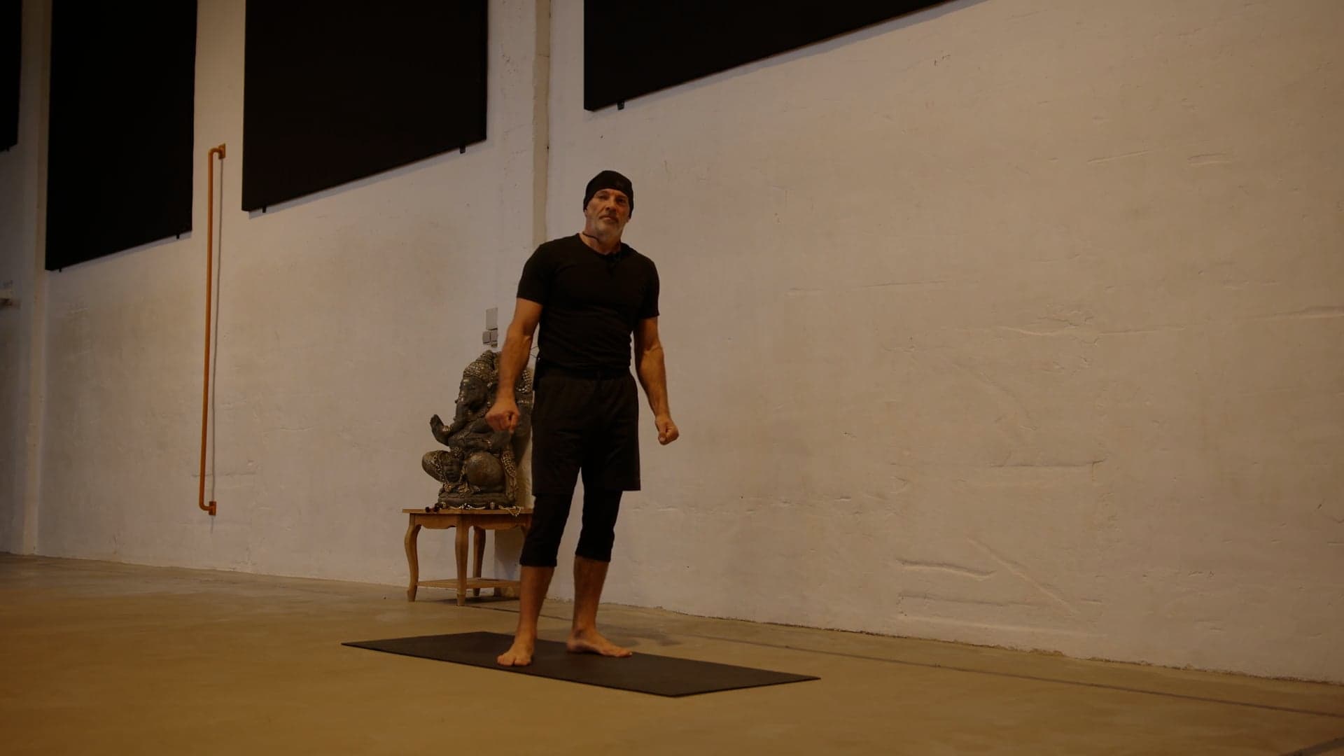 Sissy squat progressions