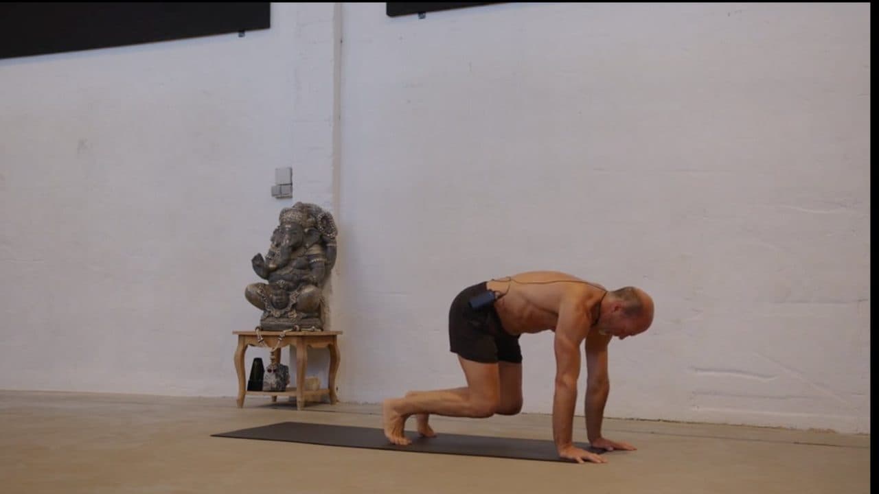 Full Primal Flow